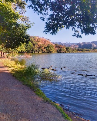 Laguna de Carrizalillo (Laguna de Carrizalillo)