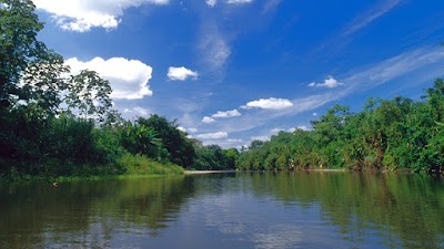 Centro de Visitantes del Parque Nacional Darién (Parque Nacional Darién Visitor Center)