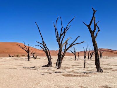 Namib Naukluft National Park