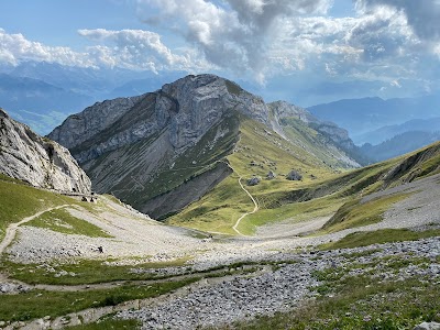 Wanderwege (Hiking Trails)