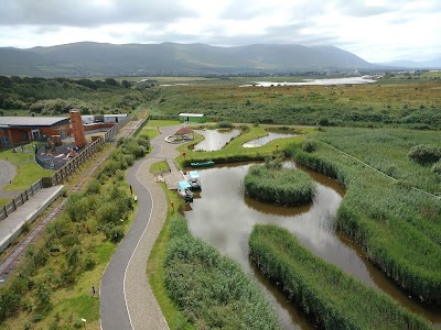 Fásach Trá Lí (Tralee Bay Wetlands)