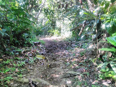 Reserva Biológica Indio Maíz (Reserva Biológica Indio Maíz)