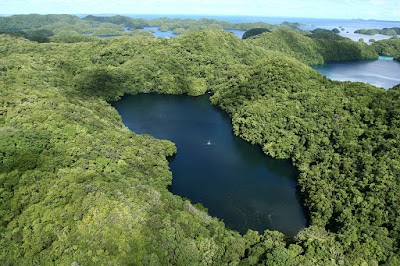 Jellyfish Lake (Jellyfish Lake)