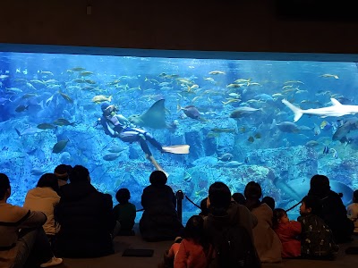 大分マリーンパレス水族館うみたまご (Oita Marine Palace Aquarium Umitamago)