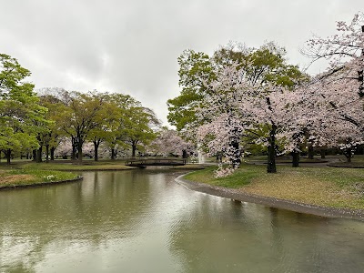 代々木公園 (Yoyogi Park)