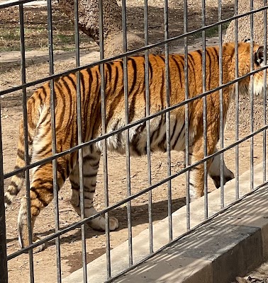 حديقة حيوانات بغداد (Baghdad Zoo)