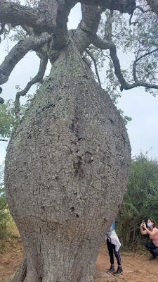 Fortín Boquerón (Fortín Boquerón)