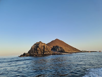 جزيرة القرش (Shark Island)