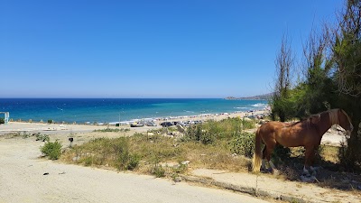 Plage des Salines (Les Salines Beach)