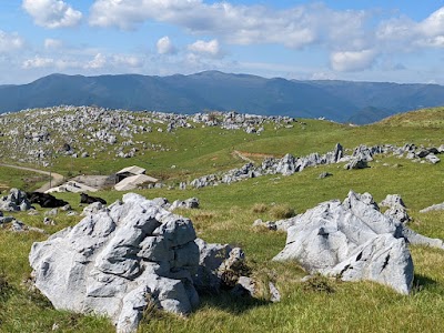 四国カルスト (Shikoku Karst)