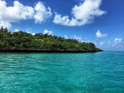 Île aux Aigrettes (Île aux Aigrettes)