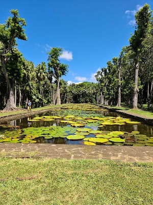 Jardin Botanique de Pamplemousses (Sir Seewoosagur Ramgoolam Botanical Garden)