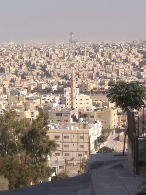 محمية الزرقاء الطبيعية (Al-Zarqa Nature Reserve)