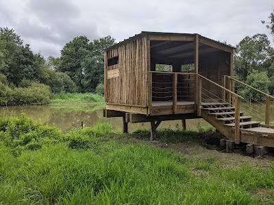 Marais de l'Île aux Serpents (Marais de l'Île aux Serpents)