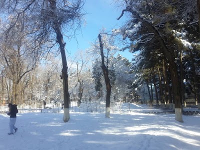 پارک شهر نو (Shahr-i-Naw Park)