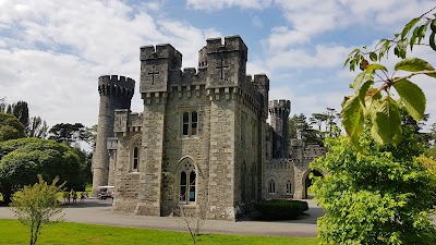 Castillo de Johnstown (Johnstown Castle)