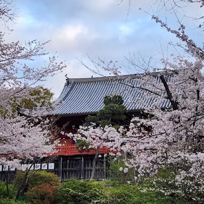 上野公園 (Ueno Park)