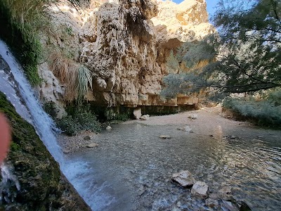 Ein Gedi Nature Reserve