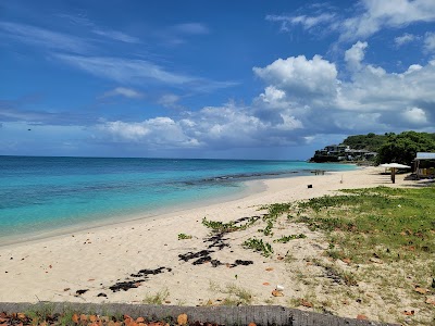 Darkwood Beach