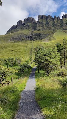 Coillte Beinn Ghulbain (Benbulben Forest)