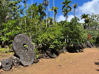 Stone Money Banks (Stone Money Banks)