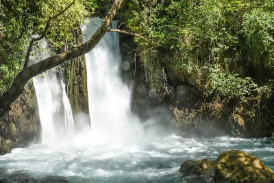 Banias Nature Reserve