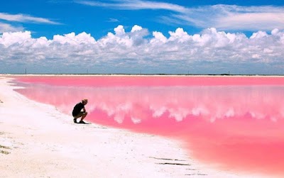 Las Coloradas (Las Coloradas)