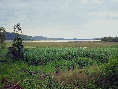 Sepik River Crocodile Festival (Sepik River Crocodile Festival)