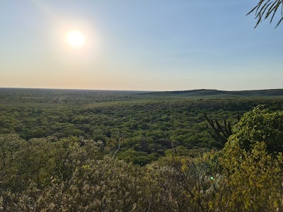 Parque Nacional Defensores del Chaco (Parque Nacional Defensores del Chaco)