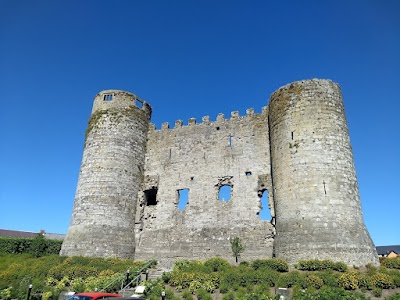 Caisleán Cheatharlach (Carlow Castle)