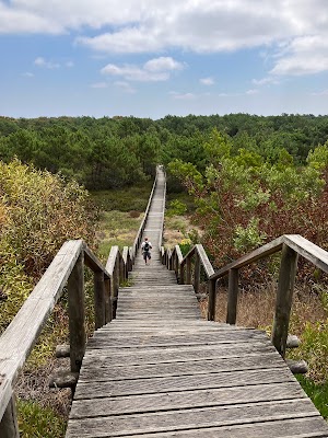 Reserva Natural das Dunas de São Jacinto (São Jacinto Dunes Natural Reserve)