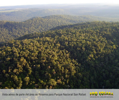 Parque Nacional San Rafael (Parque Nacional San Rafael)