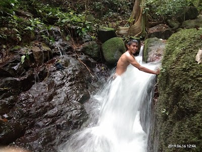 Taman Nasional Gunung Palung (Gunung Palung National Park)