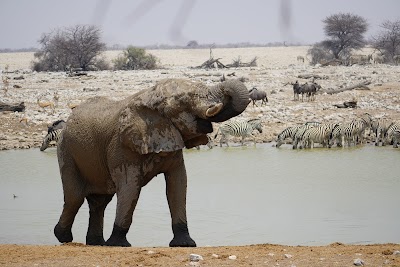 Etosha National Park (Southern Entrance)