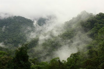 Parque Nacional Calilegua (Parque Nacional Calilegua)