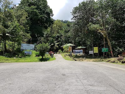 Gunung Stong State Park (Gunung Stong State Park)