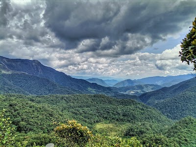 Bosque Protegido Alto Mayo (Alto Mayo Protected Forest)