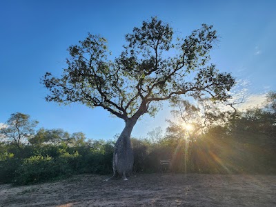 Parque Nacional El Impenetrable