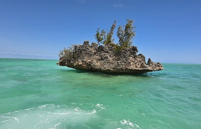 Île aux Benitiers (Île aux Benitiers)