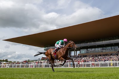 Conradh na Curraigh (The Curragh Racecourse)