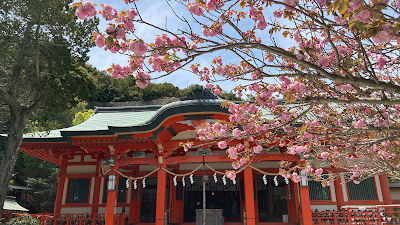 淡島神社 (Awashima Shrine)