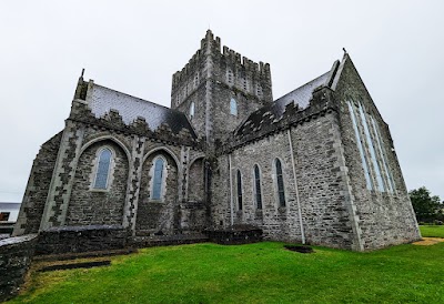 Ardeaglais Bríd (St. Brigid's Cathedral)