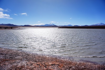 Laguna Brava (Laguna Brava)