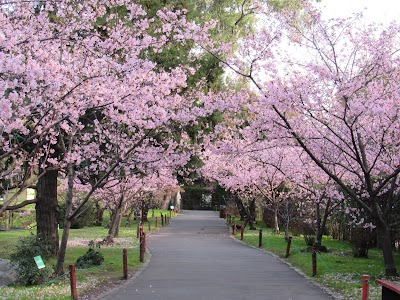 Jardín Japonés (Buenos Aires Japanese Gardens)