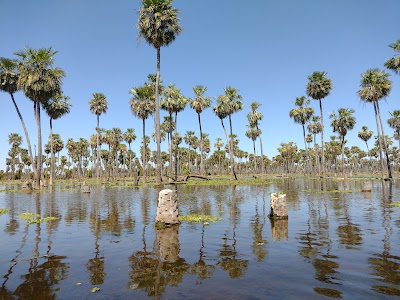 Parque Nacional Pilcomayo (Parque Nacional Pilcomayo)