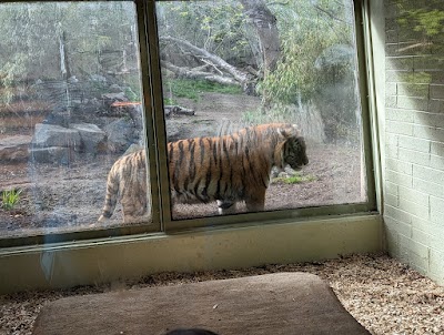 Zú Bhaile Átha Cliath (Dublin Zoo)