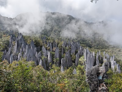 Gunung Mulu National Park