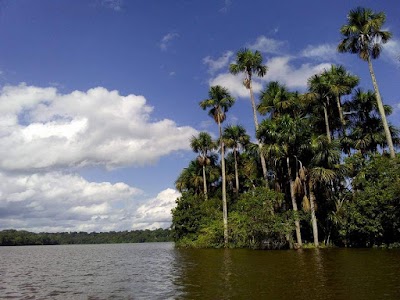 Laguna Sandoval (Lake Sandoval)