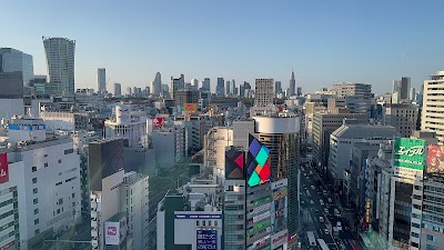 Shibuya Crossing