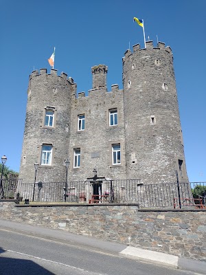 Caisleán Inis Córthaidh (Enniscorthy Castle)